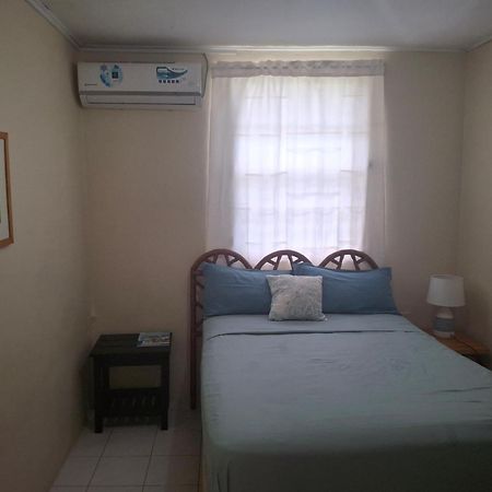 Dover Beach House 크리스트 처치 외부 사진